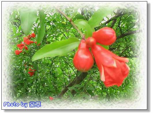 [ԭ��]�ϰ����統��ũ2006��