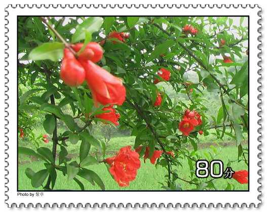 [ԭ��]�ϰ����統��ũ2006��