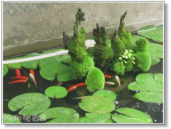 [ԭ��]�ϰ����統��ũ2006��