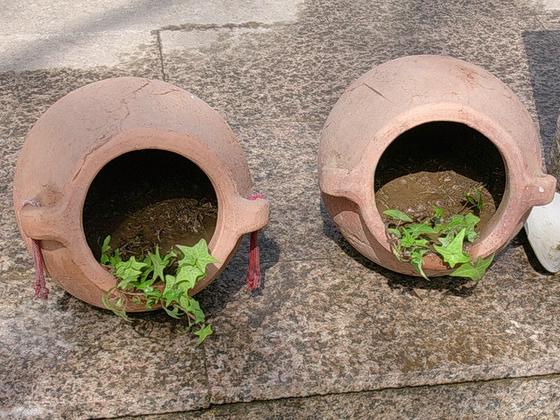 ��ʳ���������û�������(δ�����)