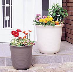 ��ʳ���������û�������(δ�����)