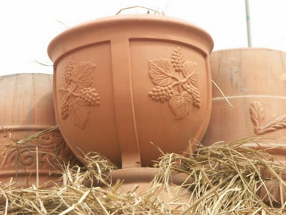 ��ʳ���������û�������(δ�����)