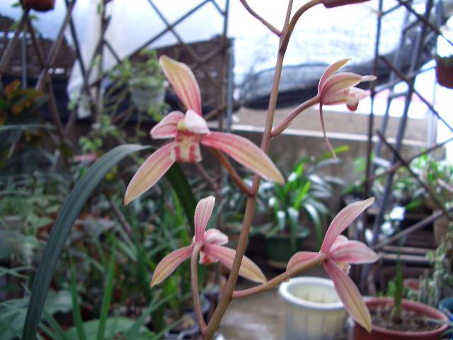 �ҵ�����