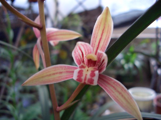 �ҵ�����