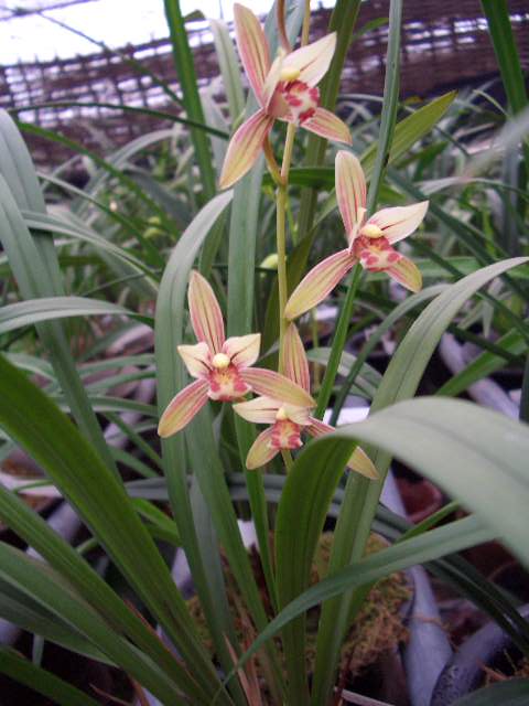 �ҵ�����