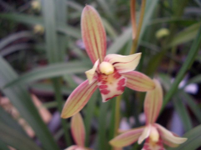 �ҵ�����