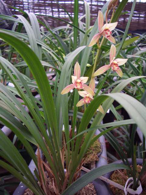 �ҵ�����