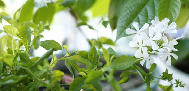 ��Ҳ������˽�һ�