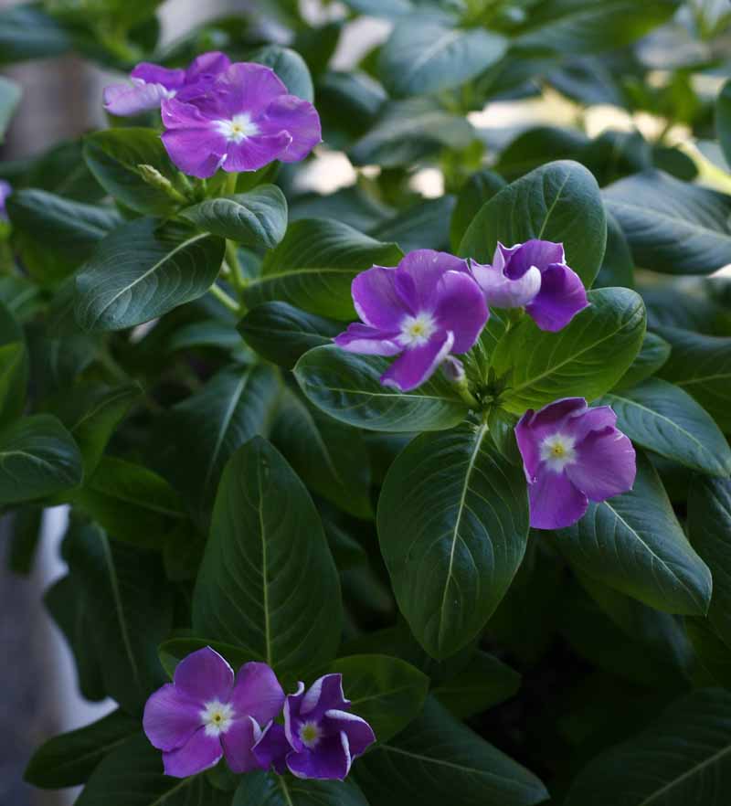 ��Ҳ������˽�һ�