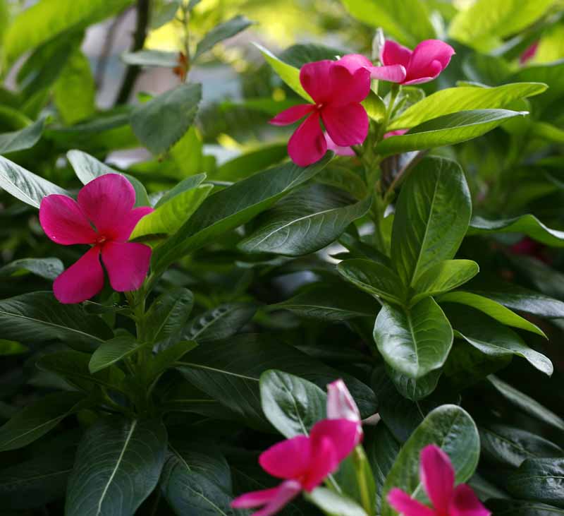 ��Ҳ������˽�һ�