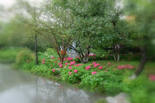 �ӡ�������˵��(������)