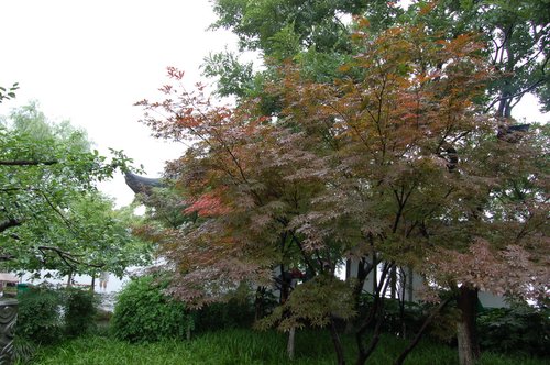 �ӡ�������˵��(������)