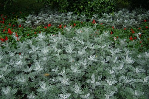 �ӡ�������˵��(������)