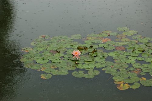 �ӡ�������˵��(������)