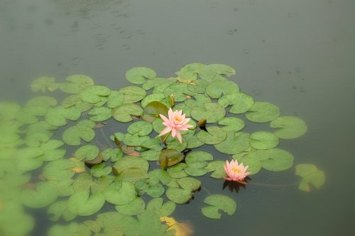 �ӡ�������˵��(������)