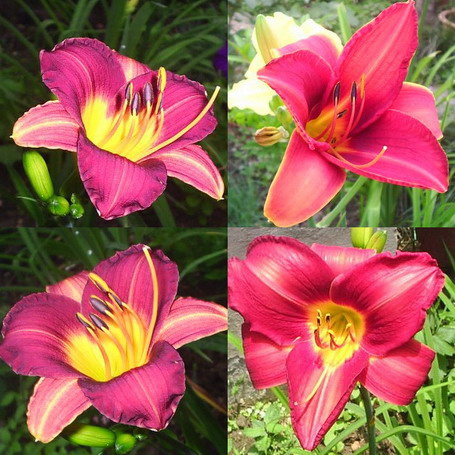 �����ҵ����(�ÿ����ϣ�