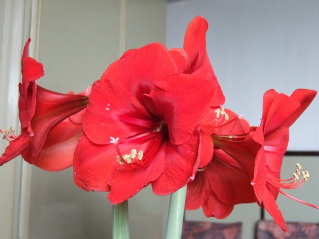 05-06���֮�춥��ƪ-�ع�