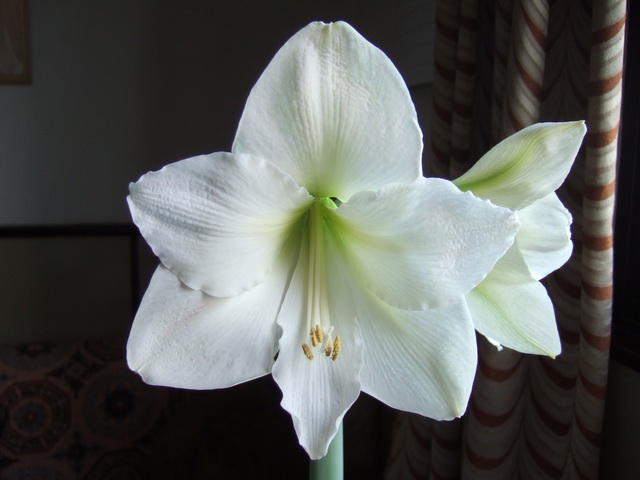 05-06���֮�춥��ƪ-�ع�