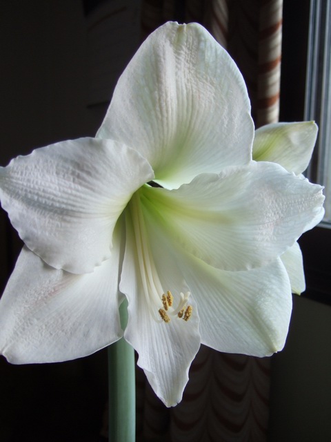 05-06���֮�춥��ƪ-�ع�