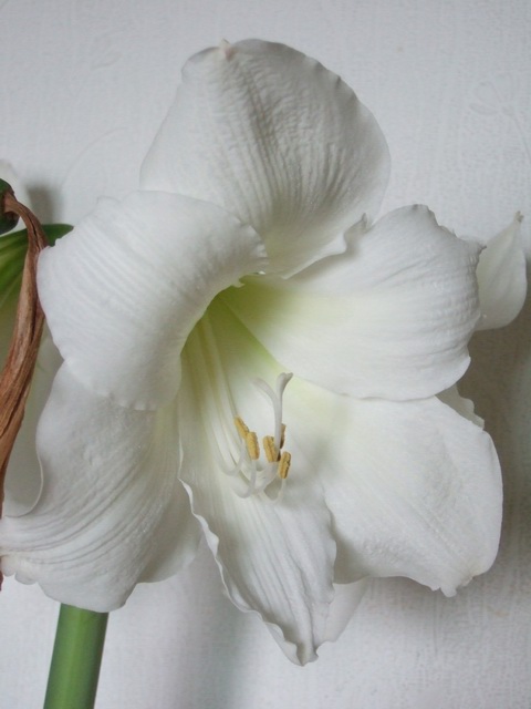 05-06���֮�춥��ƪ-�ع�