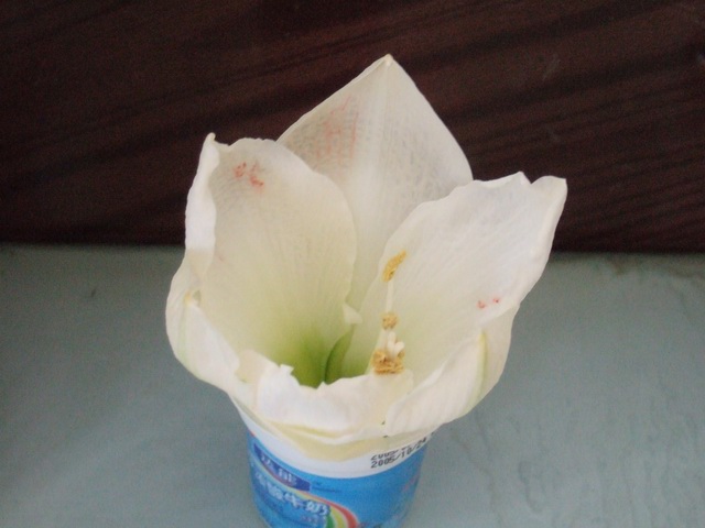 05-06���֮�춥��ƪ-�ع�