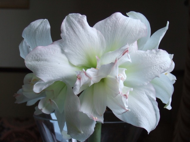 05-06���֮�춥��ƪ-�ع�