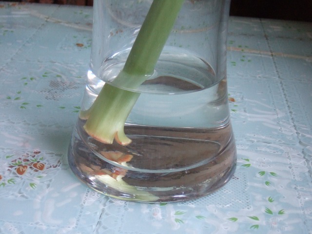 05-06���֮�춥��ƪ-�ع�