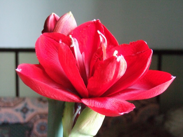 05-06���֮�춥��ƪ-�ع�