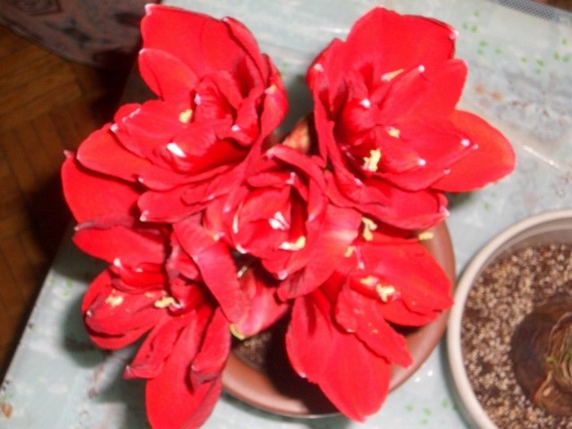 05-06���֮�춥��ƪ-�ع�