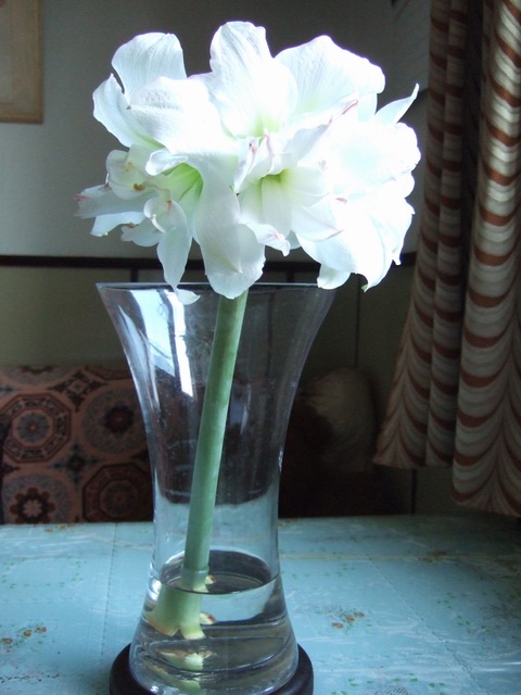 05-06���֮�춥��ƪ-�ع�