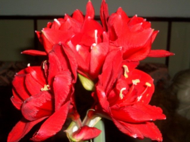 05-06���֮�춥��ƪ-�ع�