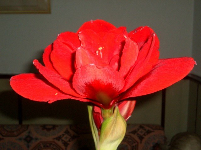 05-06���֮�춥��ƪ-�ع�