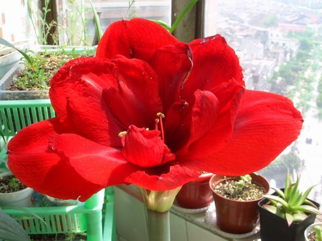 05-06���֮�춥��ƪ-�ع�