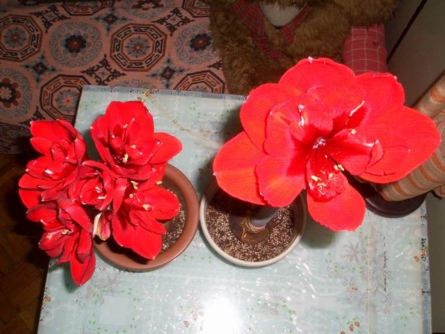 05-06���֮�춥��ƪ-�ع�