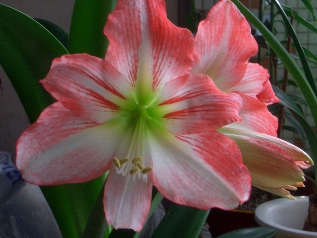 05-06���֮�춥��ƪ-�ع�