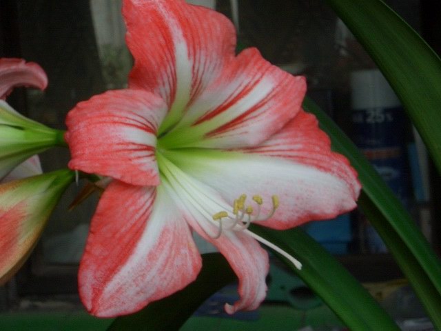 05-06���֮�춥��ƪ-�ع�