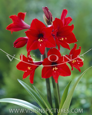 05-06���֮�춥��ƪ-�ع�