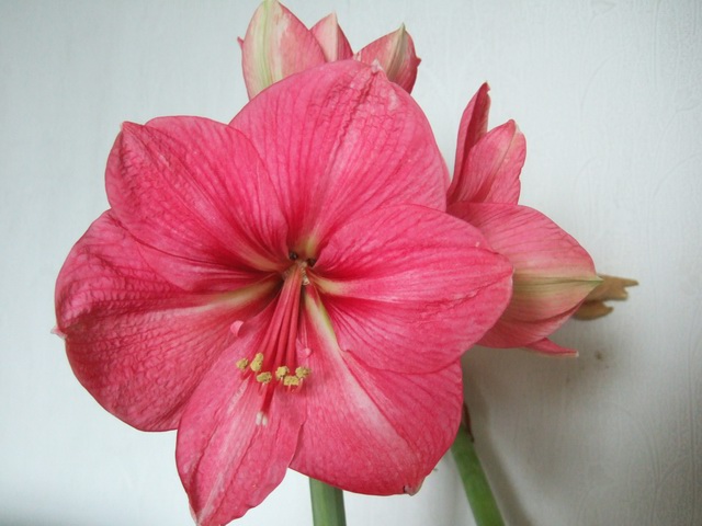 05-06���֮�춥��ƪ-�ع�