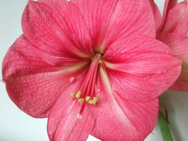 05-06���֮�춥��ƪ-�ع�