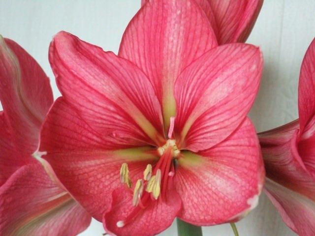 05-06���֮�춥��ƪ-�ع�