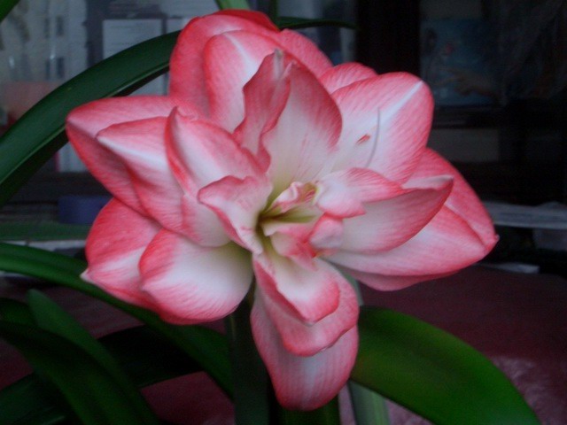 05-06���֮�춥��ƪ-�ع�