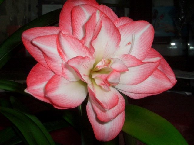 05-06���֮�춥��ƪ-�ع�