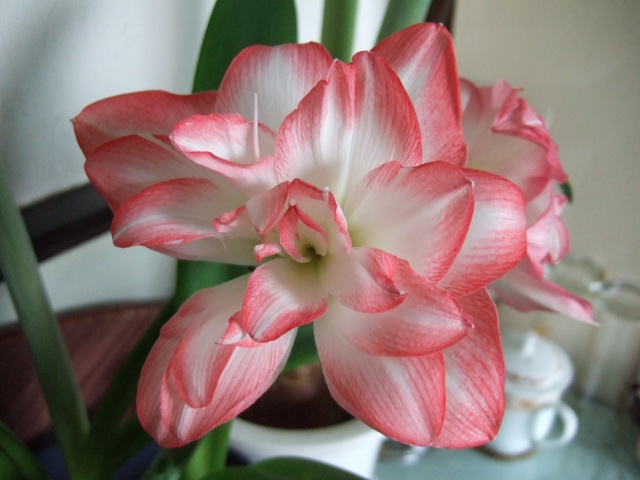 05-06���֮�춥��ƪ-�ع�