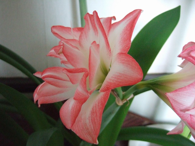 05-06���֮�춥��ƪ-�ع�