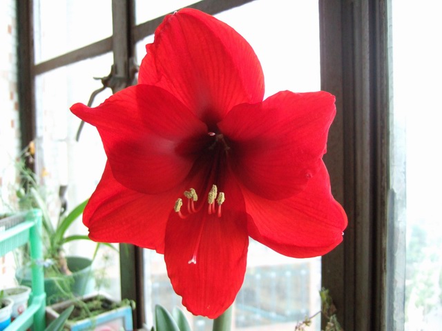 05-06���֮�춥��ƪ-�ع�