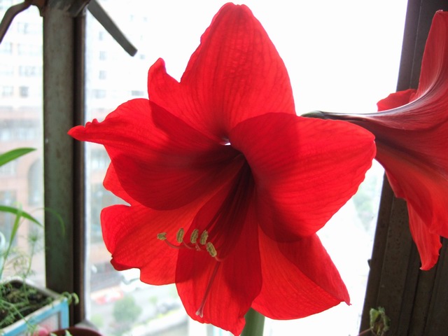 05-06���֮�춥��ƪ-�ع�