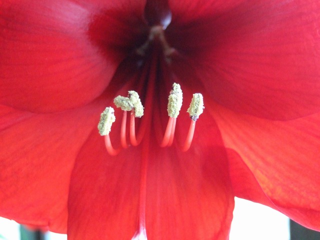 05-06���֮�춥��ƪ-�ع�