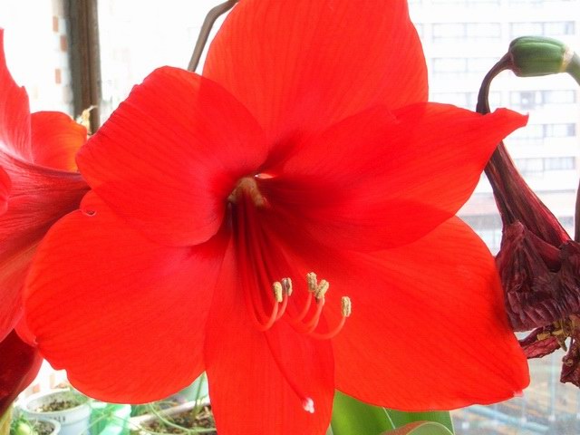 05-06���֮�춥��ƪ-�ع�