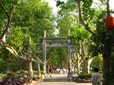 �����ҹ�