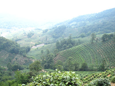 �����ҹ�